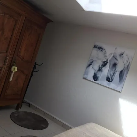 Pensionat Maison Cozy Le Pin (Allier)
